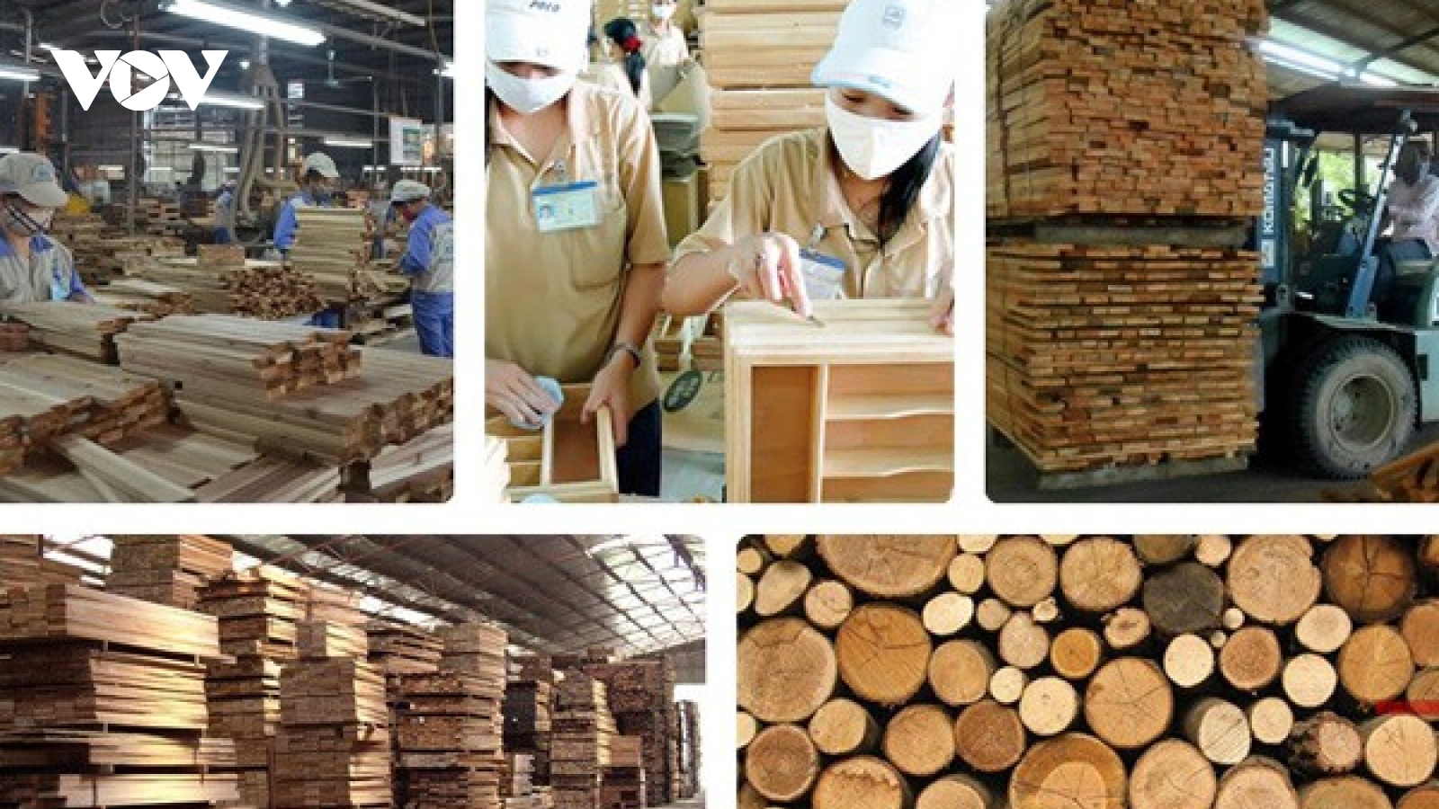 Vietnam aims for wood and forest product export target of US$20 billion by 2025